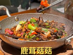 -云海肴·汽锅鸡·云南菜(苏州中心店)