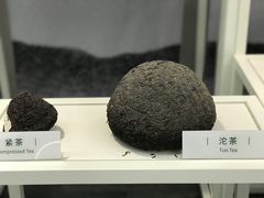 -中国茶叶博物馆(双峰馆区)