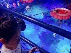 -沈阳海洋探索中心