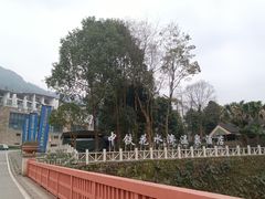 -中铁花水湾温泉酒店(大邑店)