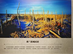 -巴音郭楞蒙古自治州博物馆