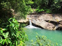 -广州白江湖森林公园