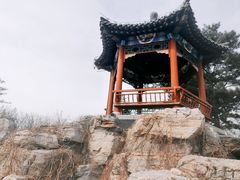 -大兴滨河森林公园