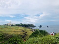 -涉地可支
