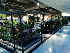 -格易美游泳馆健身房(新昆仑店)