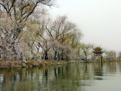 -颐和园
