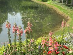 -武汉园博园(武汉自然博物馆)