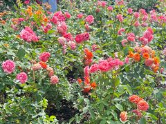 -常熟路(地铁站)