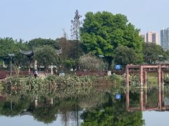 -飞来湖湿地公园