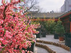 -厉家菜(金宝街店)