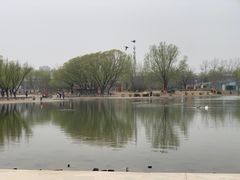 -太阳宫公园