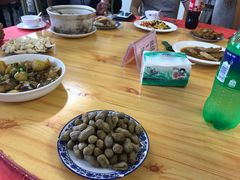 -百丈农家