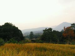 -塔川景区