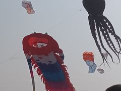 -潍坊滨海云门国际风筝放飞场
