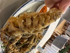 -高坎一品甲鱼庄(两河店)