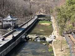-白水寺森林公园