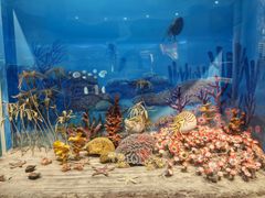 -国家自然博物馆