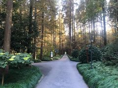 -上海怡沁园度假酒店