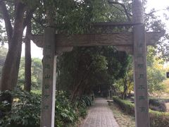 -白马涧龙池景区