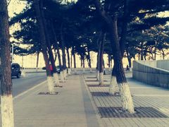 沈阳市摄影艺术家协会-东北大学(南湖校区)