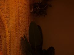 -泰谷玲抓龙筋SPA·泰式按摩(五一广场店)