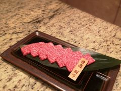 -老乾杯(深圳湾万象城店)