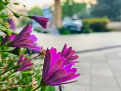 -昆明春城湖畔度假村