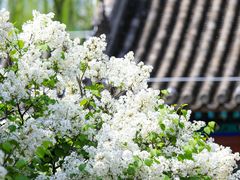 -恭王府博物馆