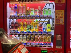 -台场海滨公园船码头