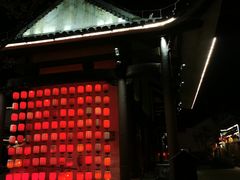 -婺源梦里老家大型山水实景演出