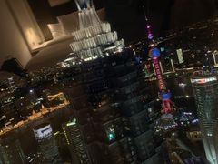 -上海柏悦酒店