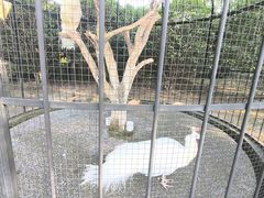 -养云安缦·廊