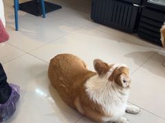 -平行世界·猫咖(首经贸店)