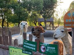 -上海野生动物园