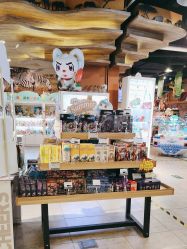 -卡通尼·Safari非洲探索乐园·生日会(金桥国际商业广场店)