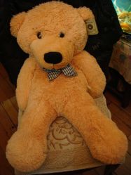 婚博会订单送的熊-威德钻石-克拉钻大本营(南京东路店)