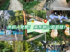 -东明山森林公园