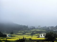 -牛街螺丝田