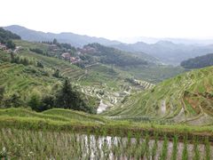 -紫鹊界梯田景区