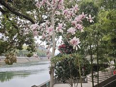 -蒋氏故居