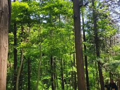 -冶父山国家森林公园