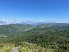 -武陵山森林公园