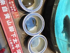 -魏铭鱼头捞饭(晋阳路店)