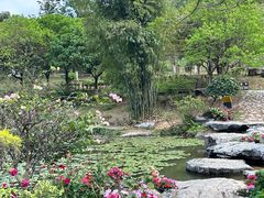 -东莞植物园