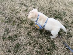 -渭河城市绿地运动公园