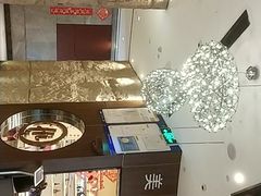 -海底捞火锅(龙岗星河COCO Park店)