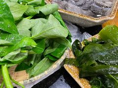 -大龙火锅(老店)
