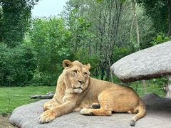 -北京野生动物园