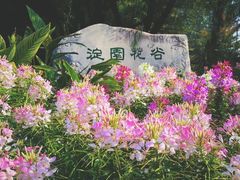-海淀公园