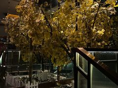 -丽晶大班SPA(大沽店)